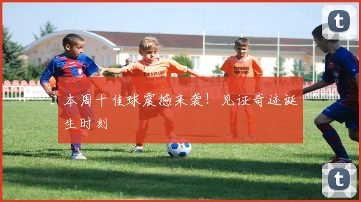 本周十佳球震撼来袭！见证奇迹诞生时刻
